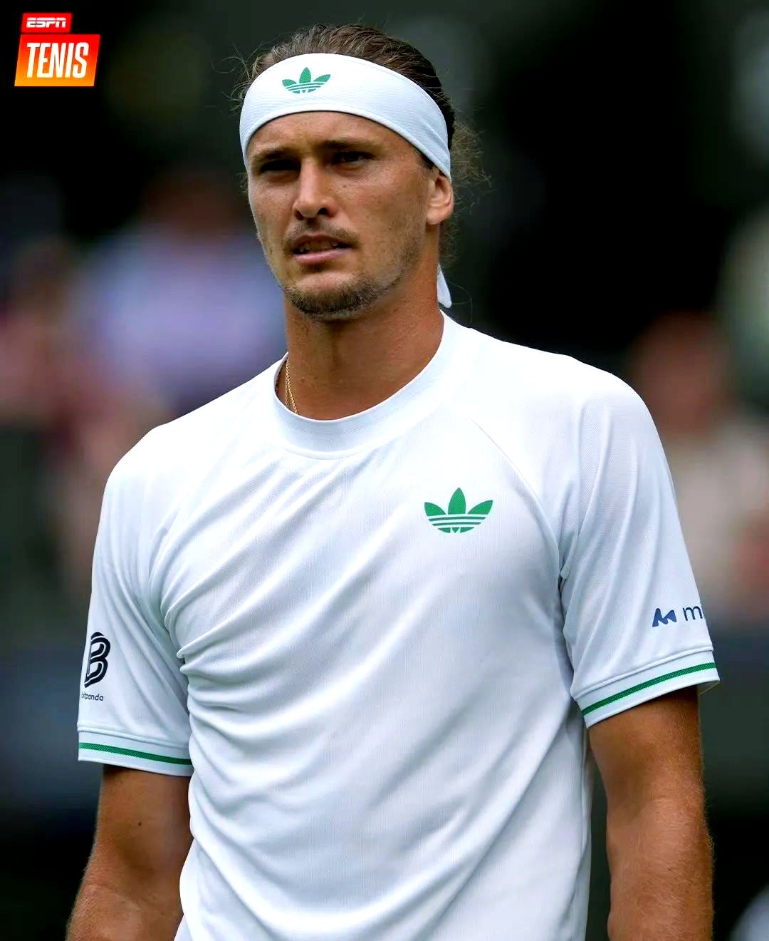 PG中国官网-关于日本网球队爆冷德国网球队，兹维列夫送出助攻的信息