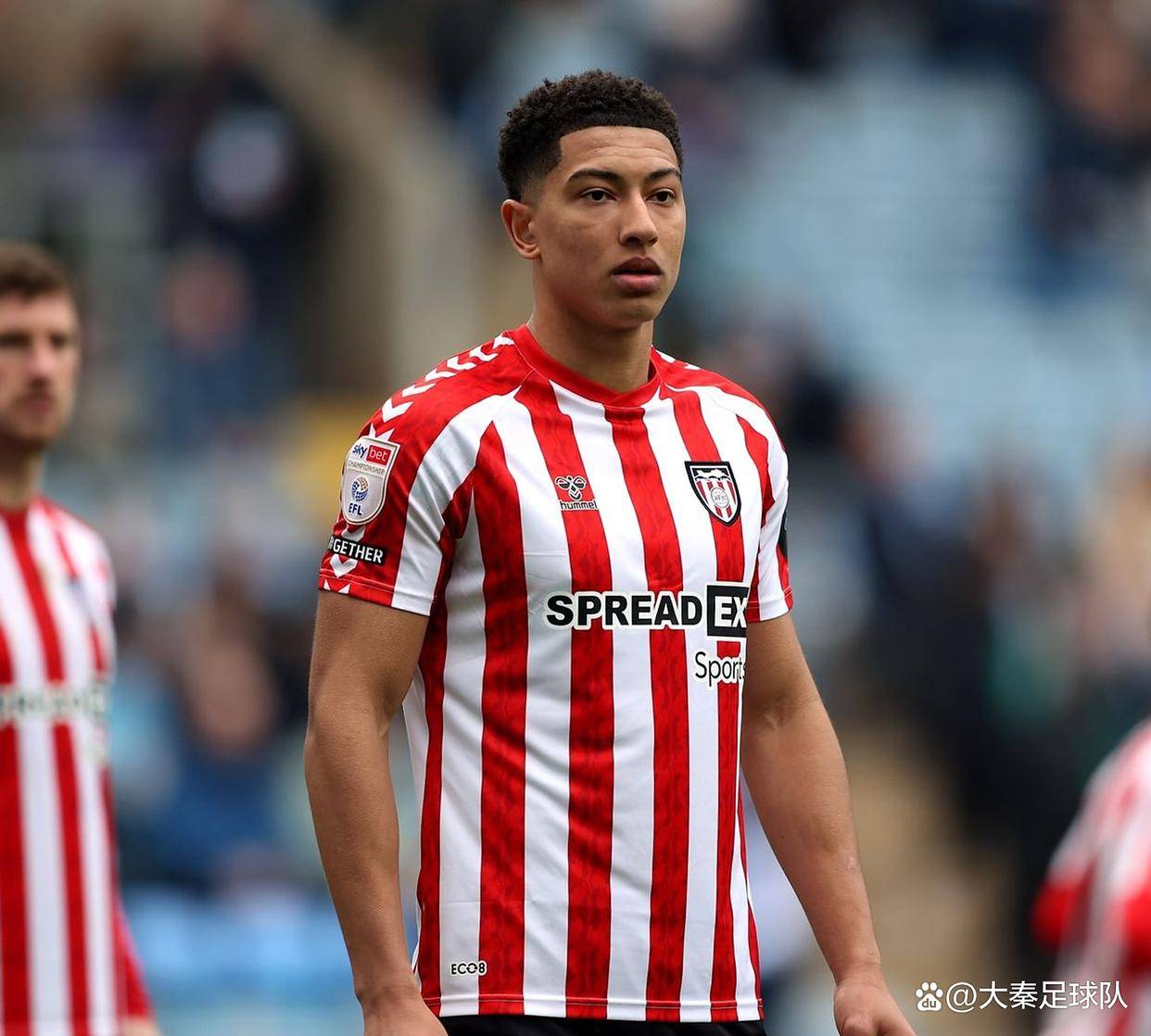 PG电子APP链接-布莱顿主场大胜，保级前景一片光明